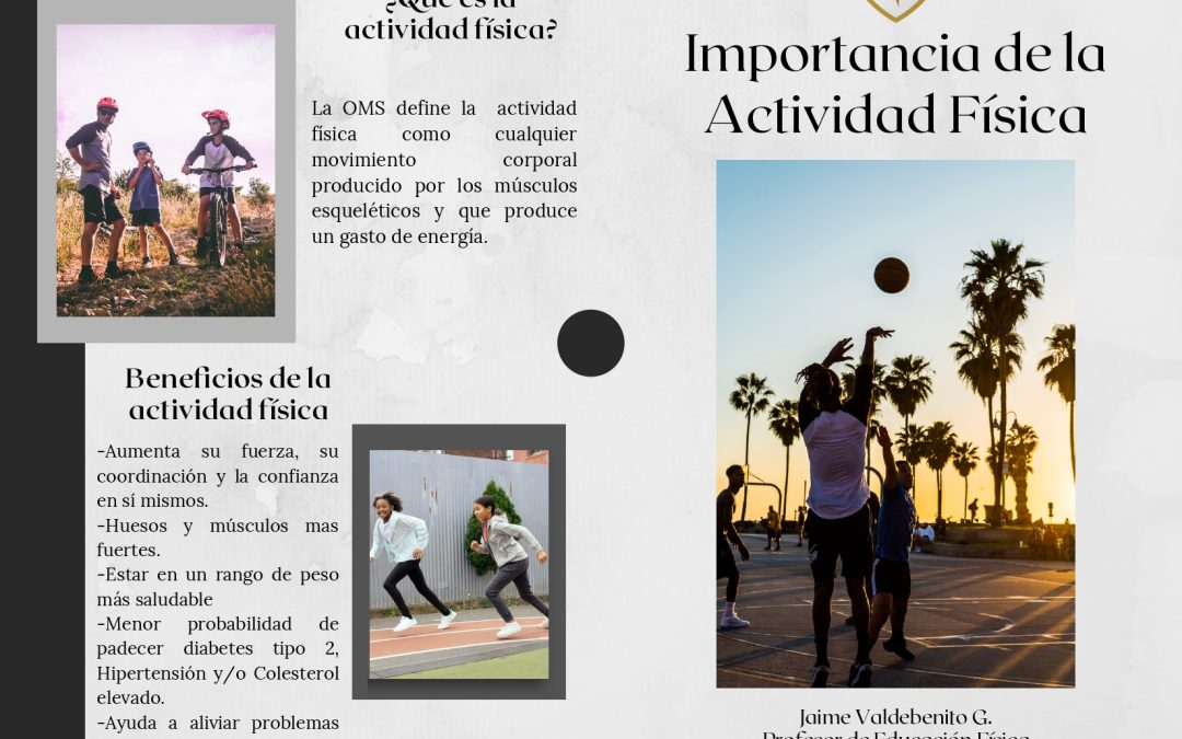 Importancia de la Actividad Física