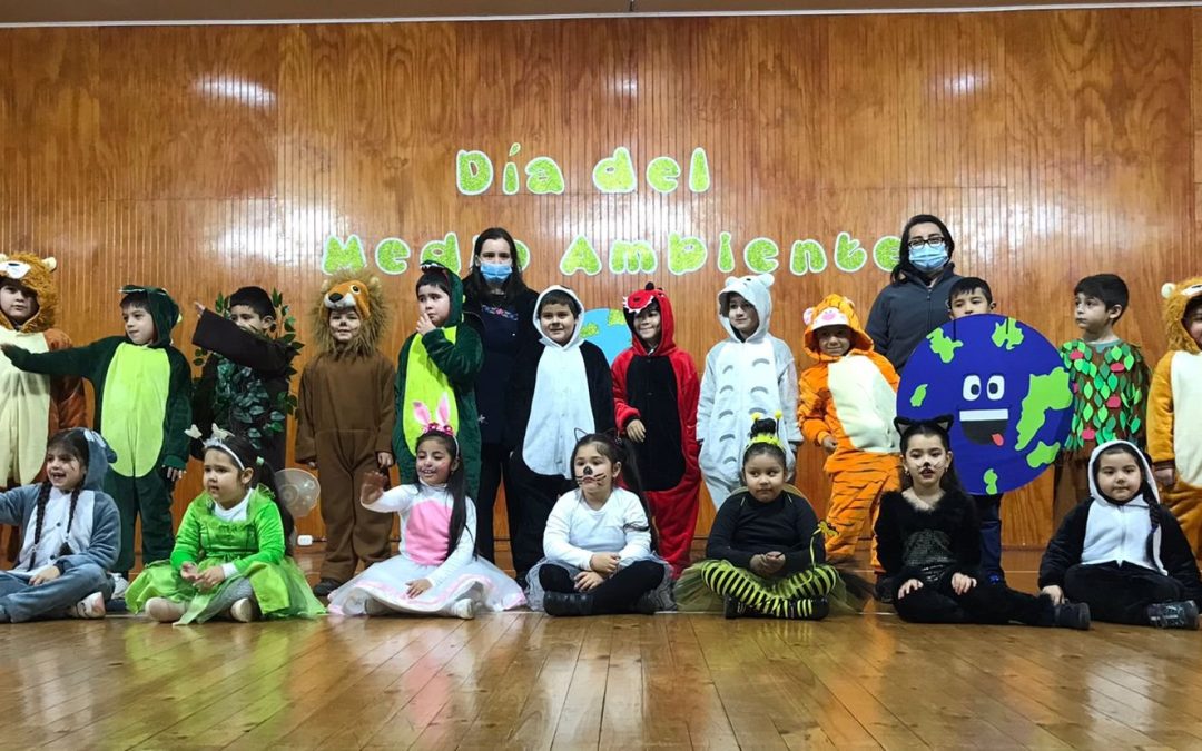 Día mundial del medio ambiente