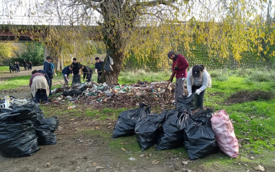 Celebración efeméride Día mundial del medio ambiente