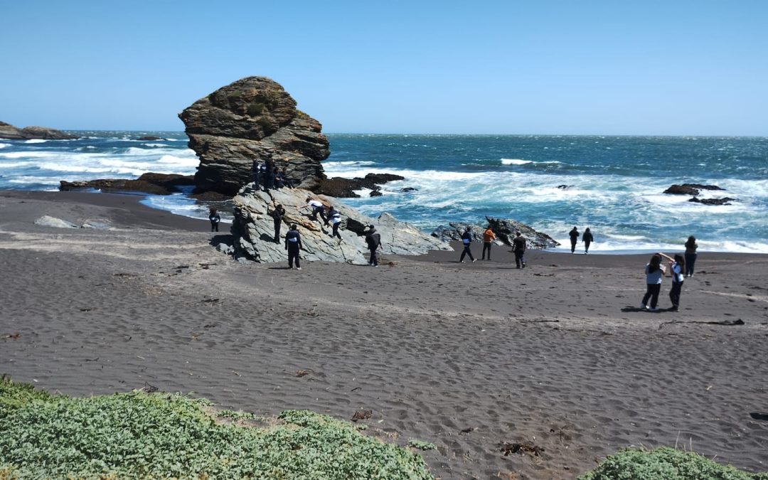 Salida Pedagógica, Universidad de Concepción