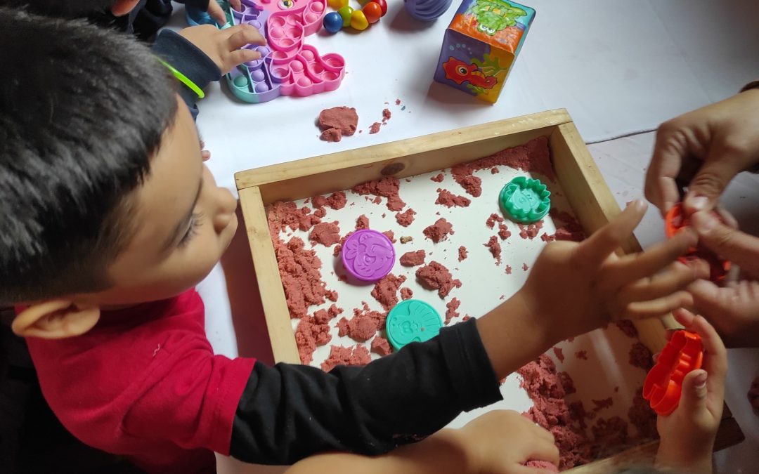 CONCIENTIZACIÓN SOBRE LA CONDICIÓN ESPECTRO AUTISTA *IDPS: Participación y formación ciudadana*