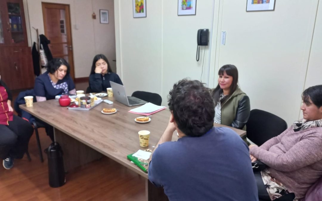 Constitución del Comité Ambiental de nuestra Escuela. *IDPS: Participación y Formación ciudadana*