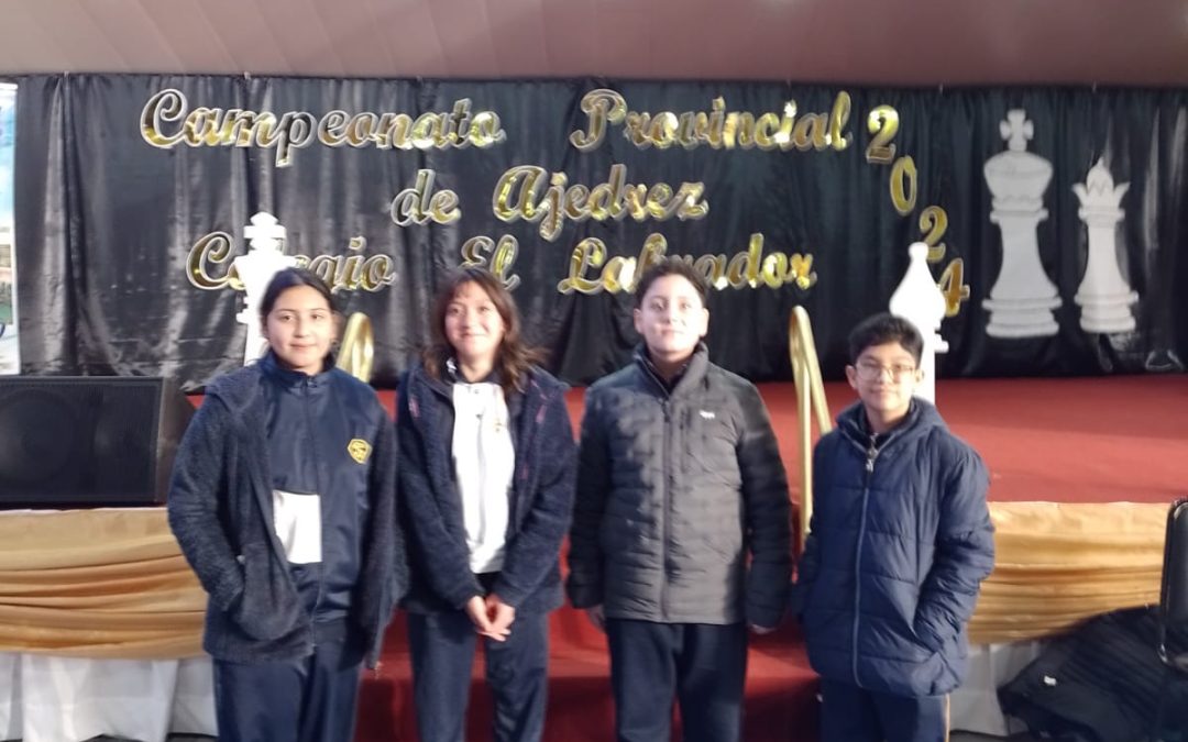 Provincial de Ajedrez