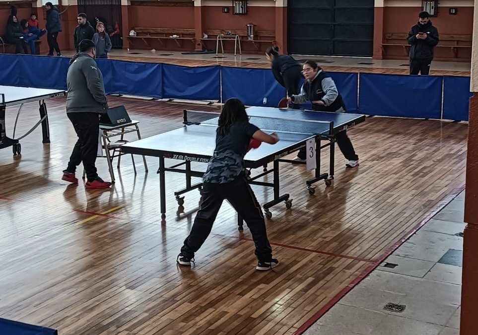 Provincial de Tenis de Mesa